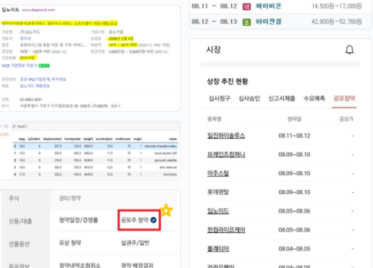  2021년 8월 공모주 청약 일정 (딥노이드 엠로 한컴라이프 플래티어 균등배정)