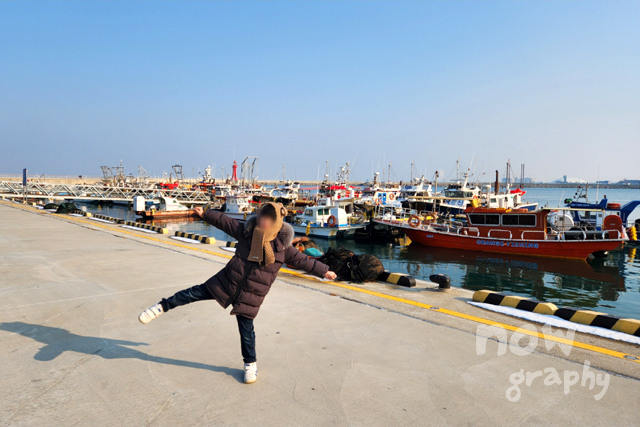 장고항