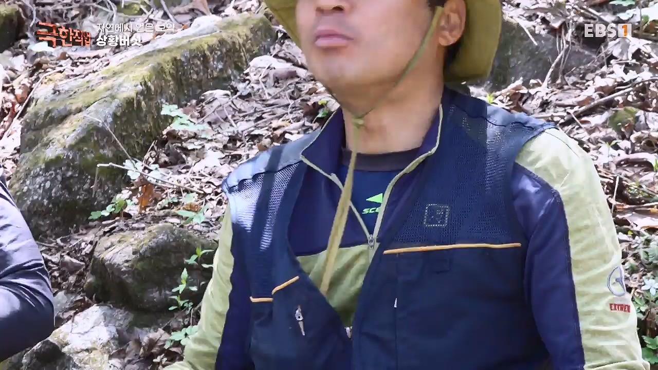 TV - 전 국민의 평생학교 EBS자연에서 얻은 보약, 상황버섯과 산나물, 쌍화차.mp4_20240615_172243.057.jpg