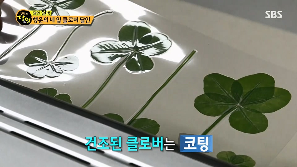 생활의 달인.E894.230626p.H264-F1RST.mp4_20230627_203850.757.jpg