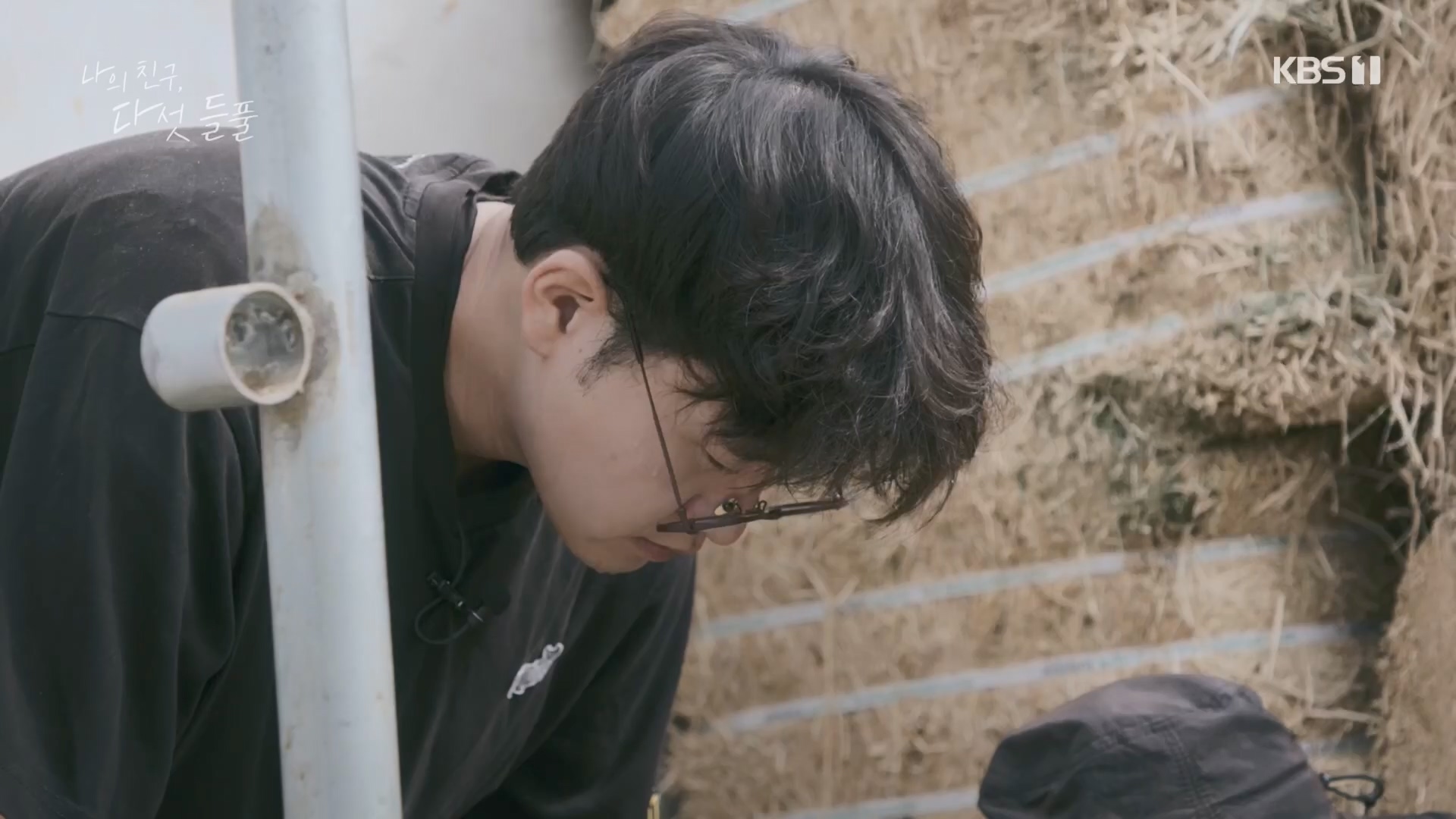 특집 다큐 나의 친구, 다섯 들풀.240119p.H264-F1RST.mp4_20240121_151736.910.jpg