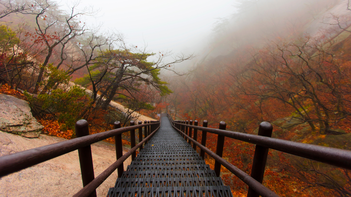 Bukhansan National Park 2 