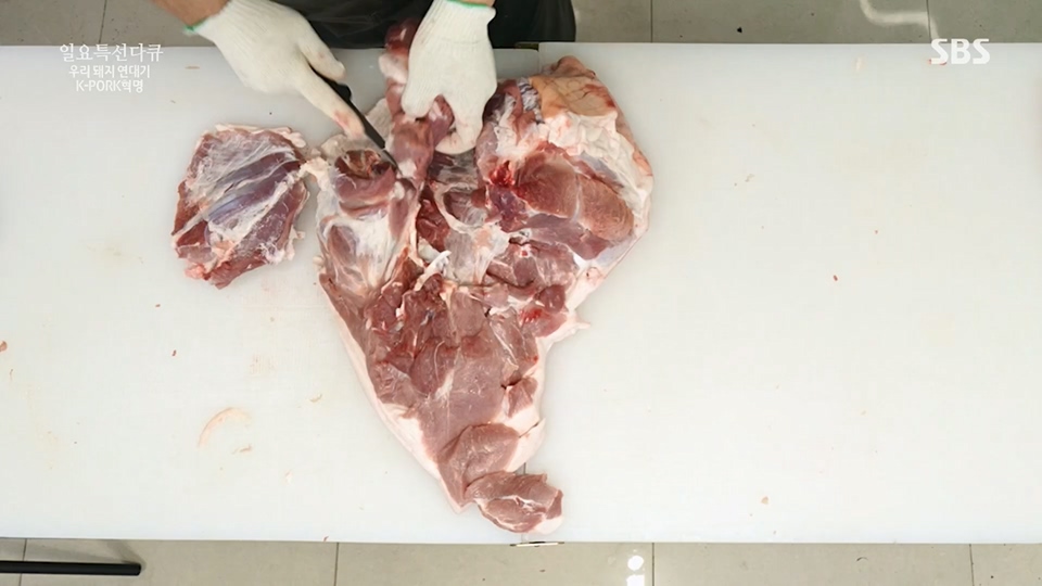 일요 특선 다큐멘터리.E315.230716p.H264-F1RST.mp4_20230717_210609.601.jpg