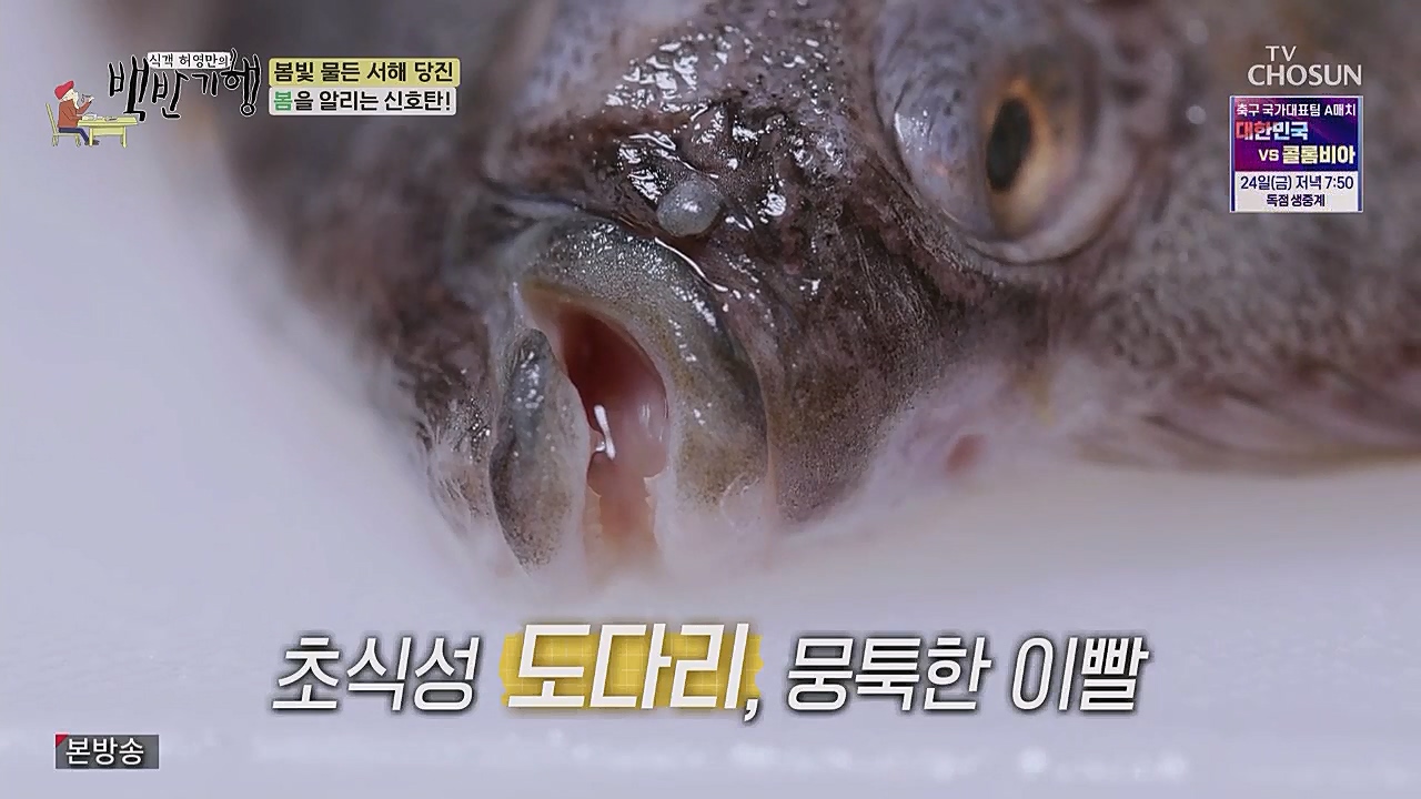 식객 허영만의 백반기행.E193.230318p.WANNA.mp4_20230318_171115.810.jpg