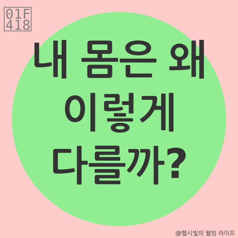 맞춤형 다이어트_1