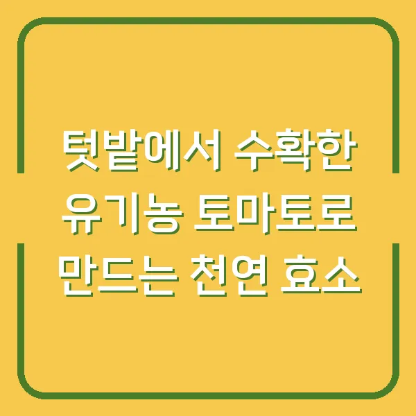 텃밭에서 수확한 유기농 토마토로 만드는 천연 효소