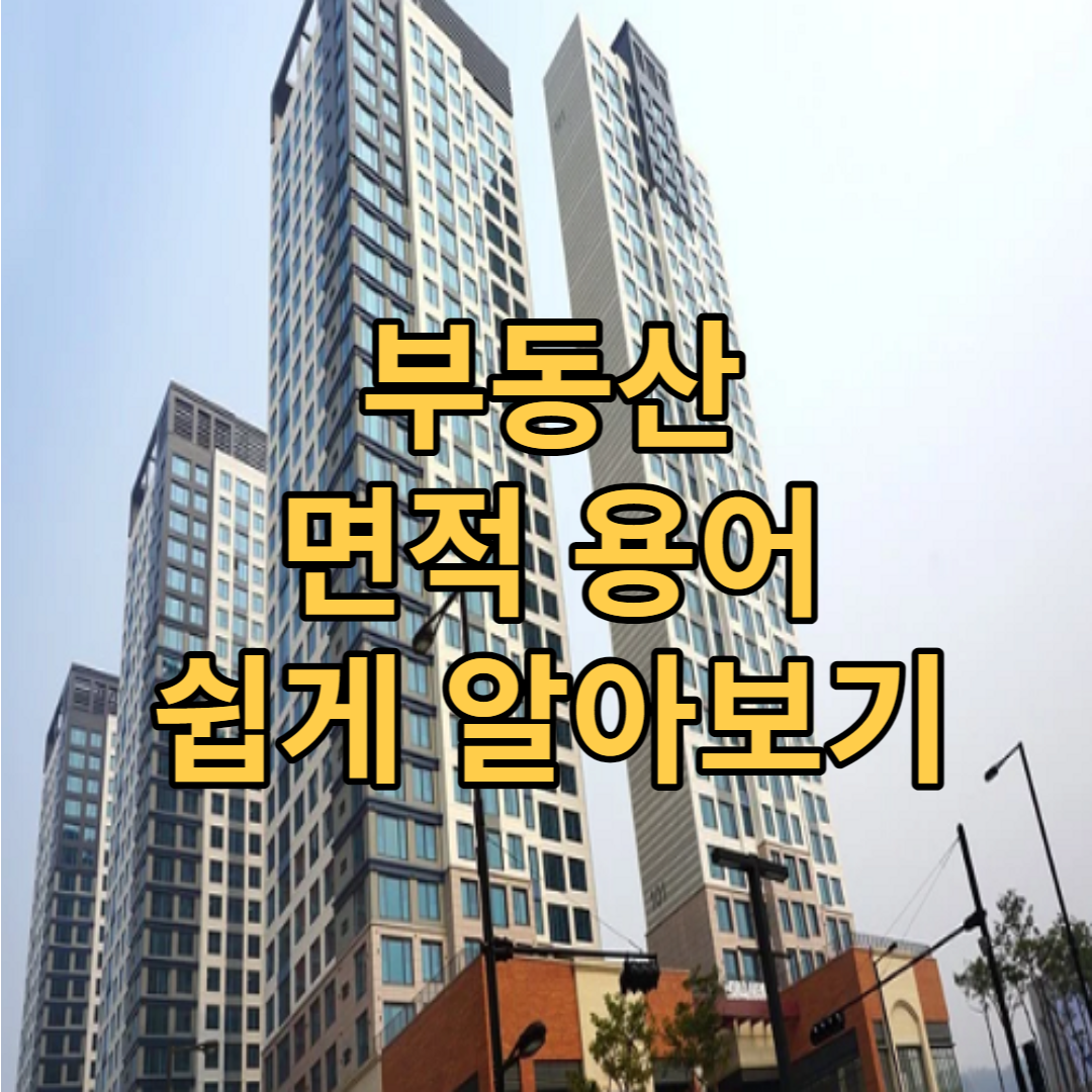  계약면적? 전용면적? 어려운 부동산 면적 쉽게 정리합니다.