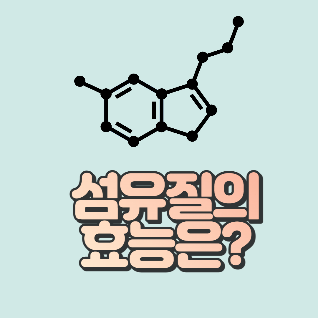 섬유질-효능