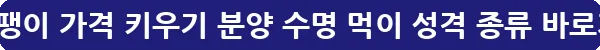 백와달팽이 가격 키우기 분양 수명 먹이 성격 종류_14