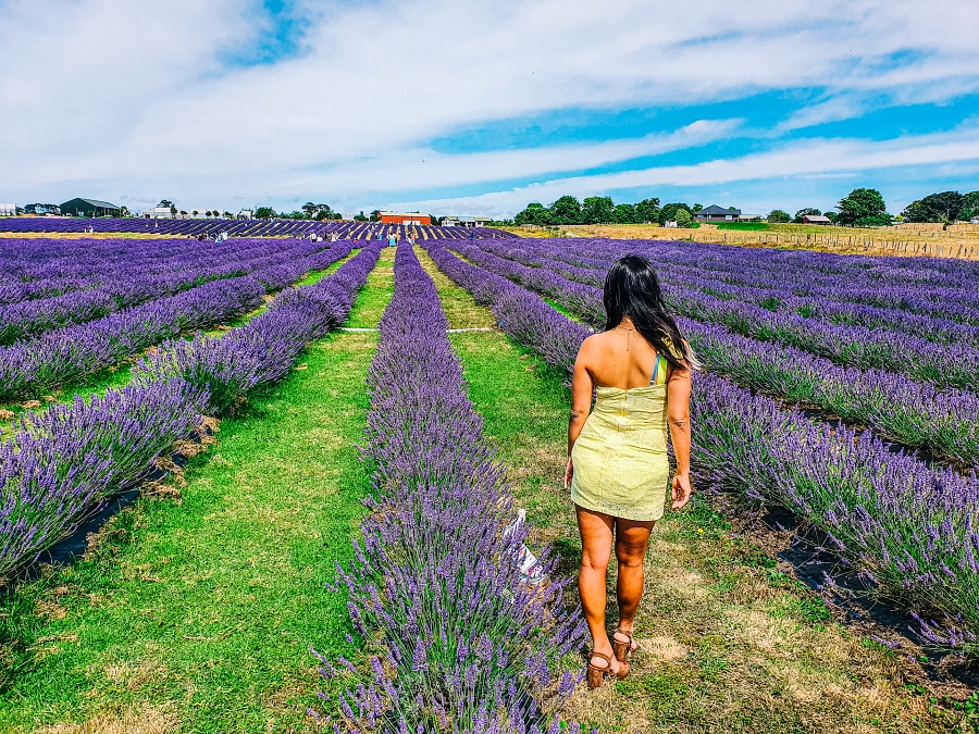 Best 해외여행지 순위 톱 10 해외여행 추천 론리 플래닛이 선택한 2022년 12