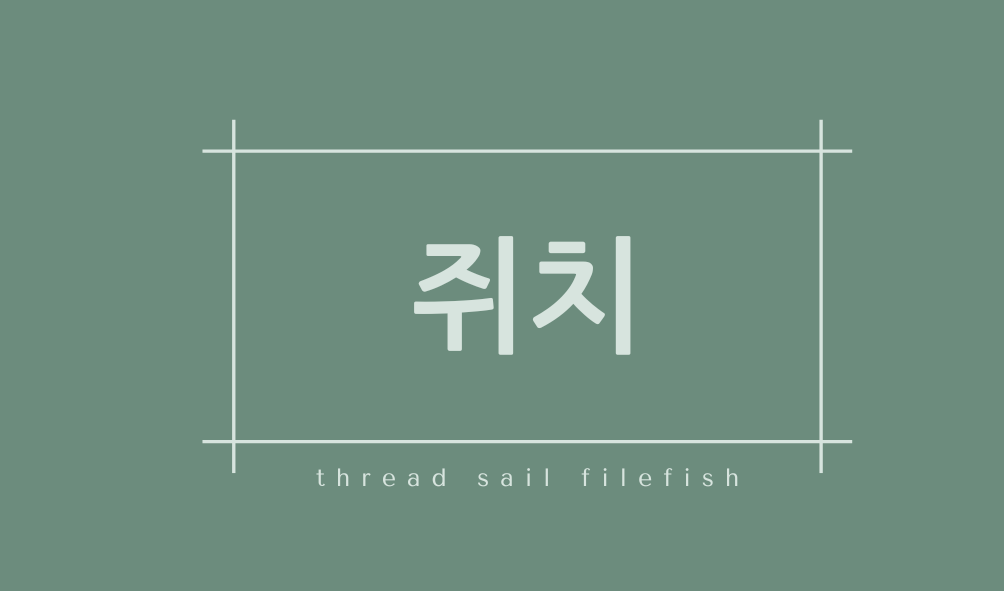 쥐치(thread sail filefish)