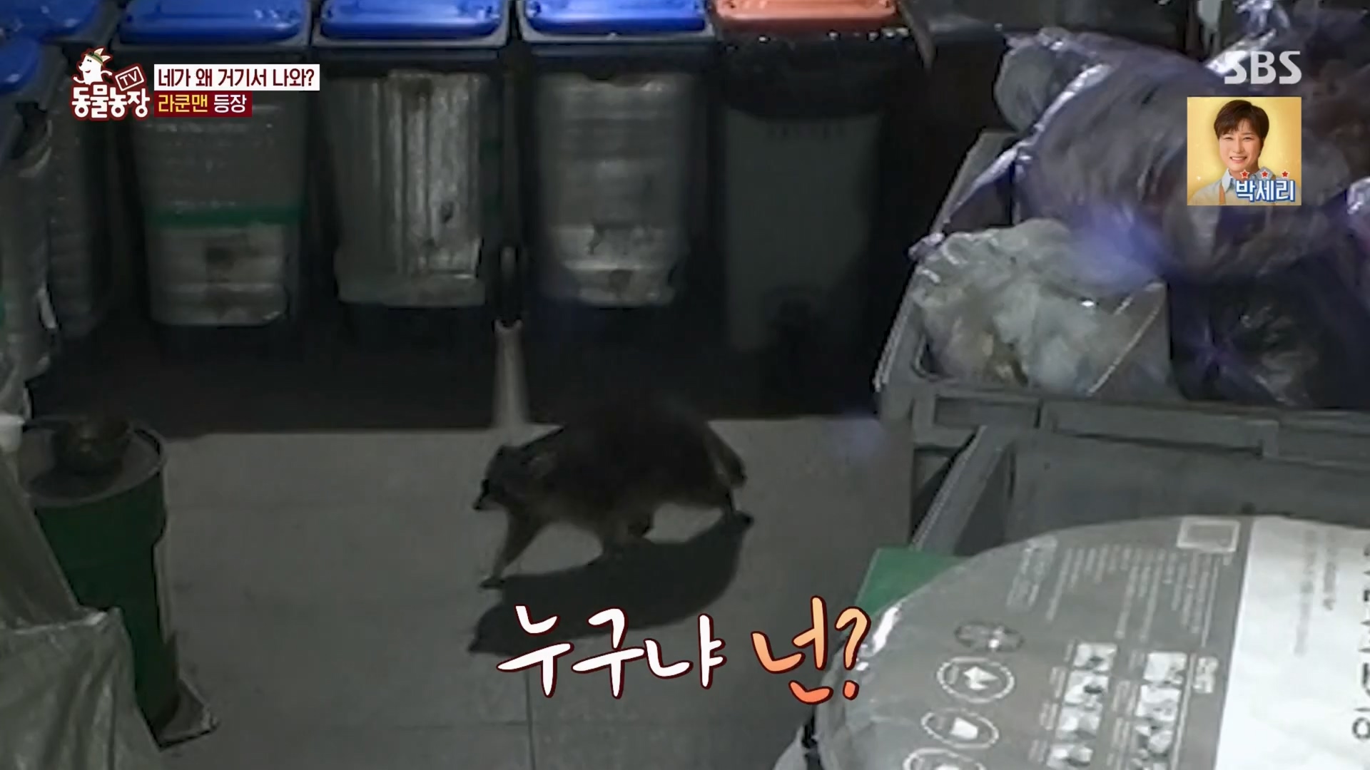 TV 동물농장.E1170.240505p.H264-F1RST.mp4_20240505_153756.181.jpg