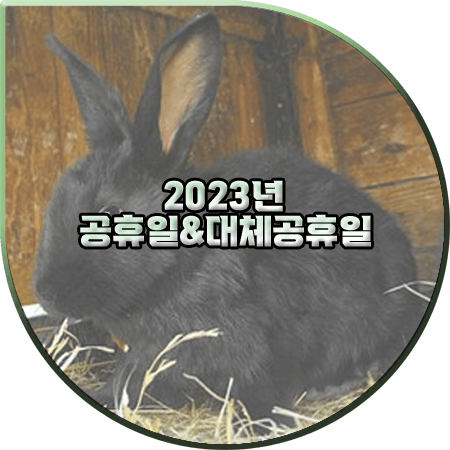  2023년 공휴일 및 대체공휴일(대체공휴일 기준) 총정리 + 2023년 연휴&연차쓰기 좋은 날