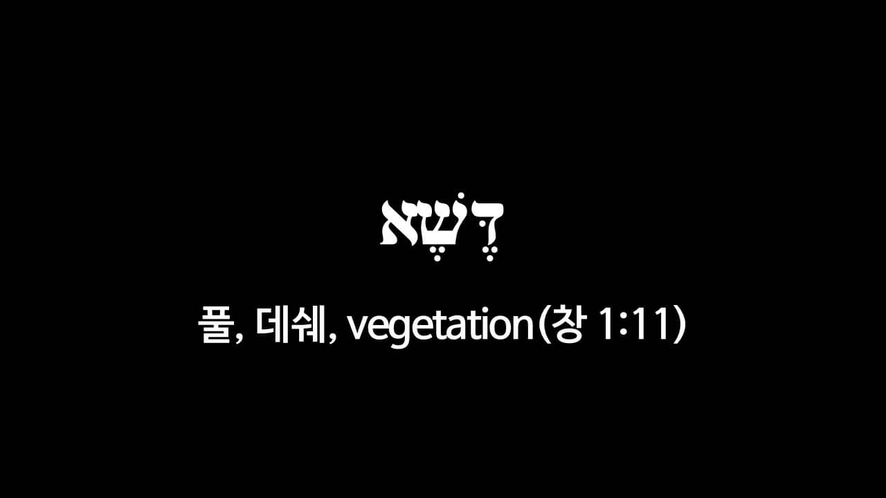 창세기 1장 11절&#44; 풀(דֶּשֶׁא&#44; 데쉐&#44; vegetation) - 히브리어 원어 정리