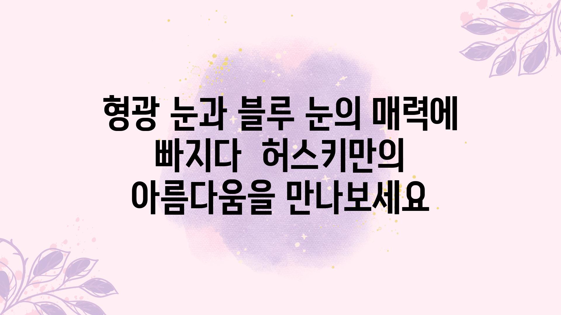 형광 눈과 블루 눈의 매력에 빠지다  허스키만의 아름다움을 만나보세요