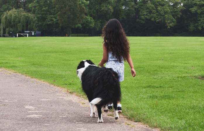 검은색과 흰색 털이 섞인 큰 개와 함께 산책을 하고 있는 곱슬머리의 소녀