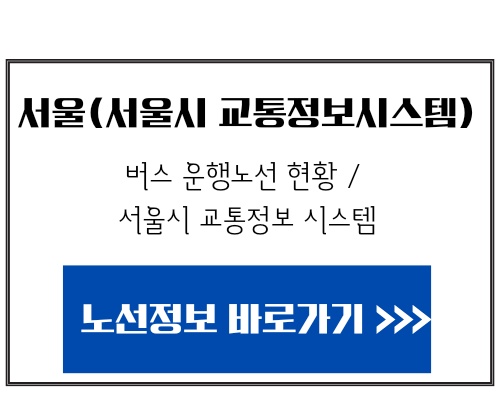 서울시 장애인 버스요금 지원 신청방법&#44; 지원금액&#44; 이용방법 안내