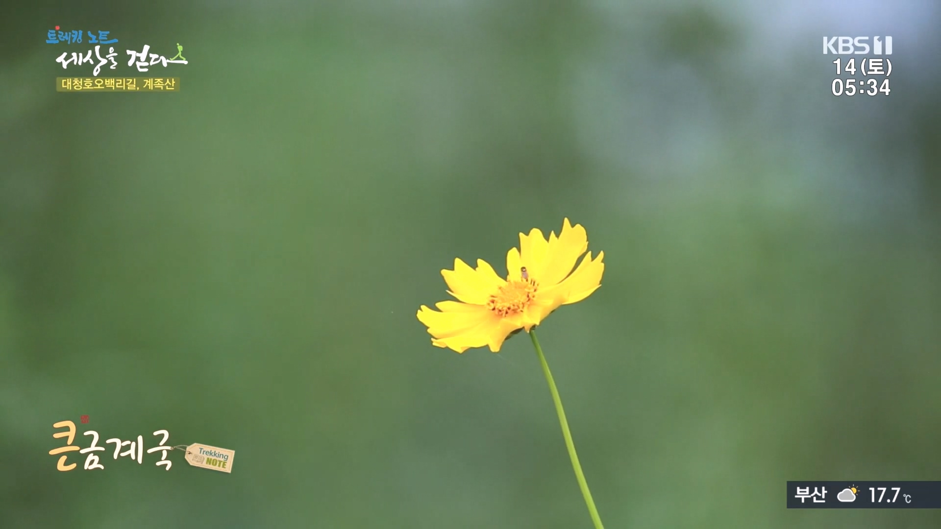 트레킹노트 세상을 걷다.E290.231014p.H264-F1RST.mp4_20231014_180259.705.jpg