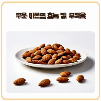 아몬드 효능 하루 섭취량 칼로리_22