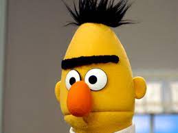 버트 BERT 이미지