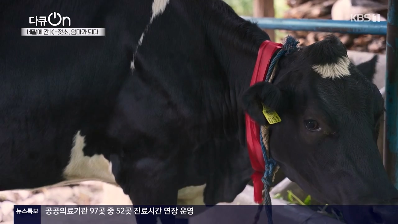 다큐 온.E241.240317p-NEXT.mp4_20240317_182811.280.jpg