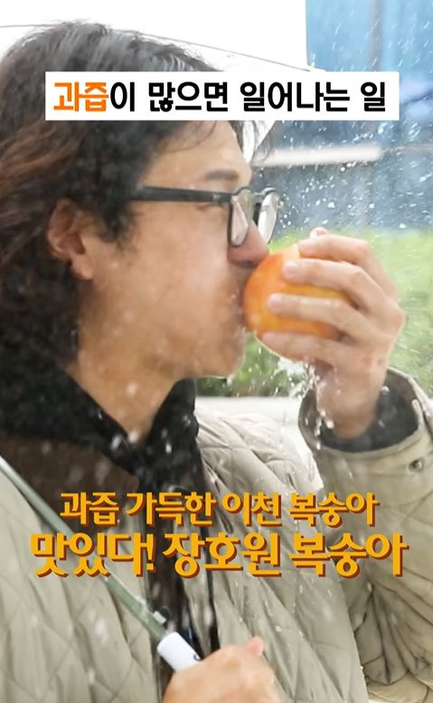 울주배
복숭아