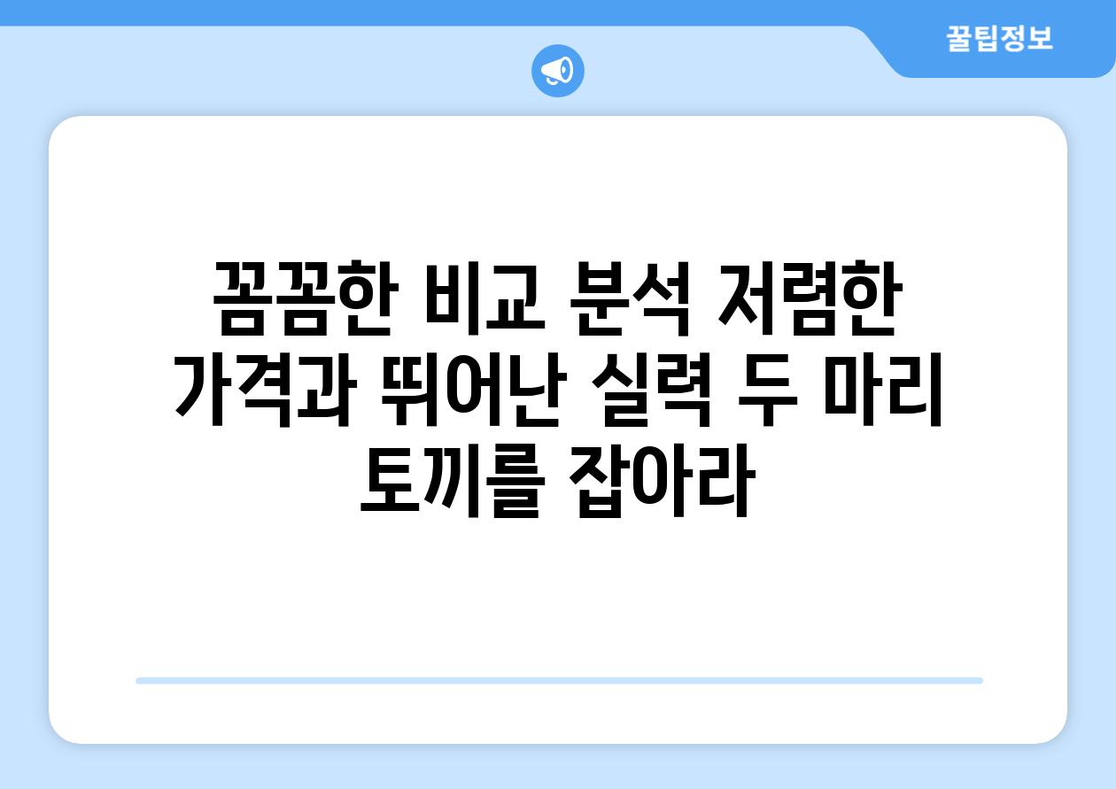 꼼꼼한 비교 분석 저렴한 가격과 뛰어난 실력 두 마리 토끼를 잡아라