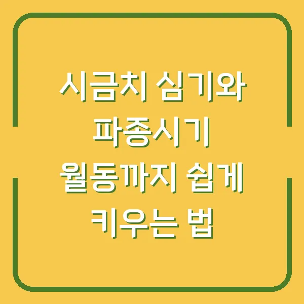 시금치 심기와 파종시기 월동까지 쉽게 키우는 법