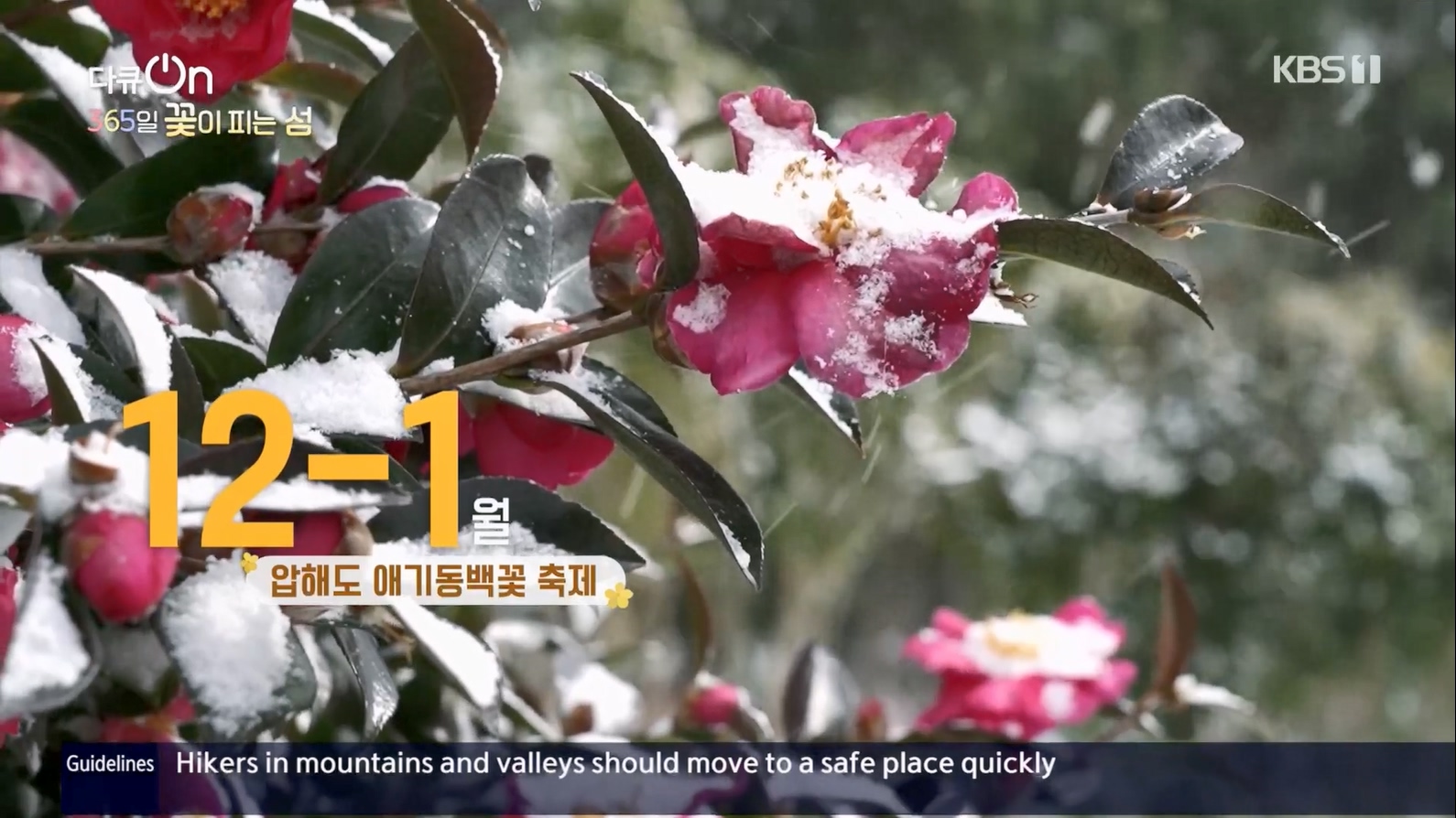 다큐 On.E201.230610p.H264-F1RST.mp4_20230611_164634.744.jpg