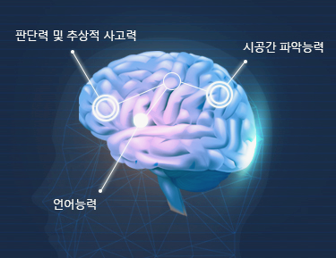 치매 초기증상 뇌의 신호 10가지