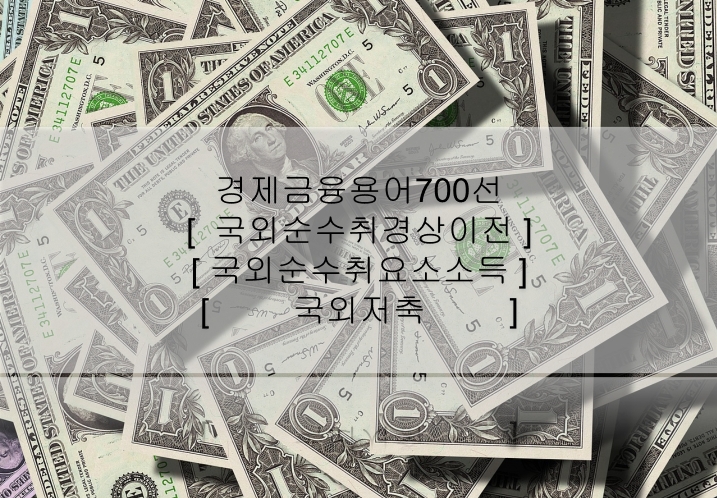 경제금융용어700선 - 국외순수취경상이전&#44; 국외순수취요소소득&#44; 국외저축