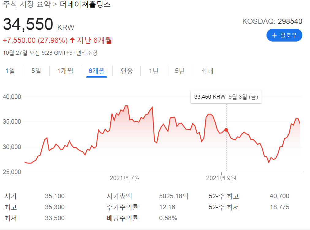 더네이쳐홀딩스주가