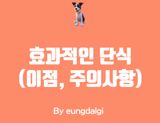  건강하고 효과적으로 단식하는 방법