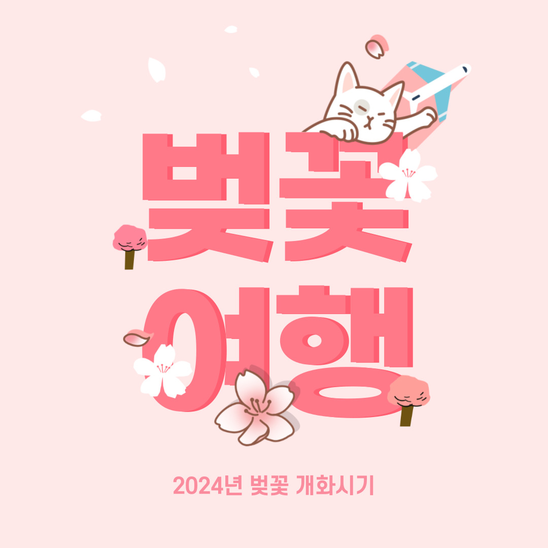 2024년 벚꽃 개화시기 / 벚꽃 여행&#44; 벚꽃 명소&#44; 벚꽃 지도&#44; 벚꽃 축제