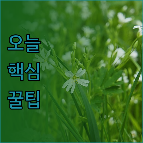 구리 여행의 완벽한 선택? 더 노벰버