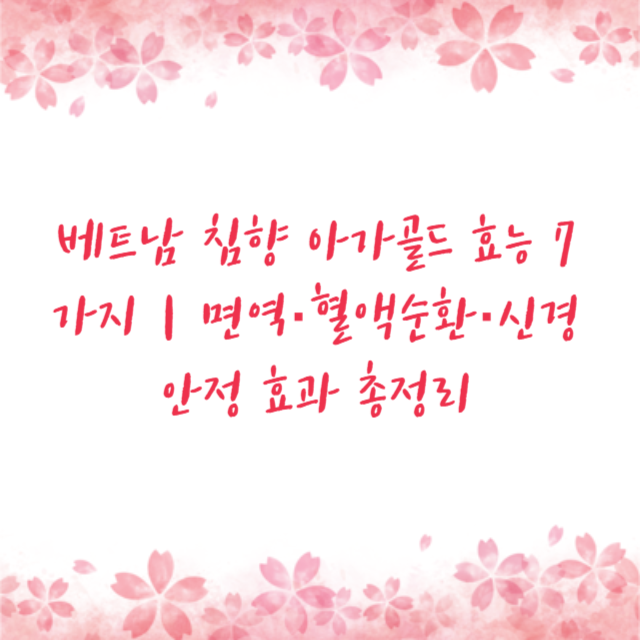 베트남 침향 아가골드 효능 7가지｜면역·혈액순환·신경안정 효과 총정리
