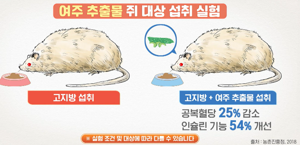 여주 효능