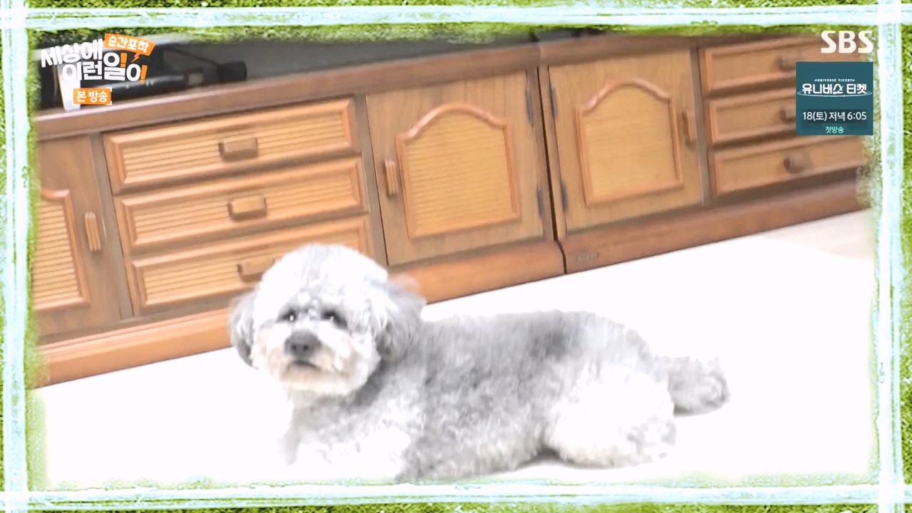 순간포착 세상에 이런일이.E1252.231112p-NEXT.mp4_20231112_170259.432.jpg
