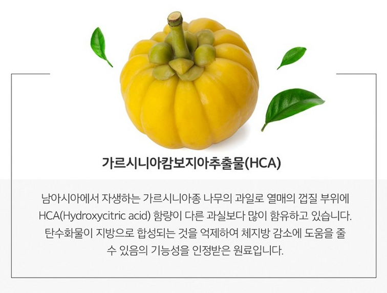 가르시니아 설명 사진