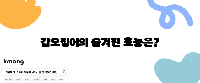 갑오징어의 효능 10가지와 함께 알아보는 부작용도 놓치지 마세요.