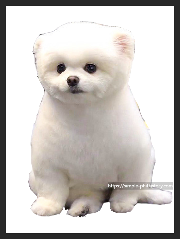 포토샵 배경제거