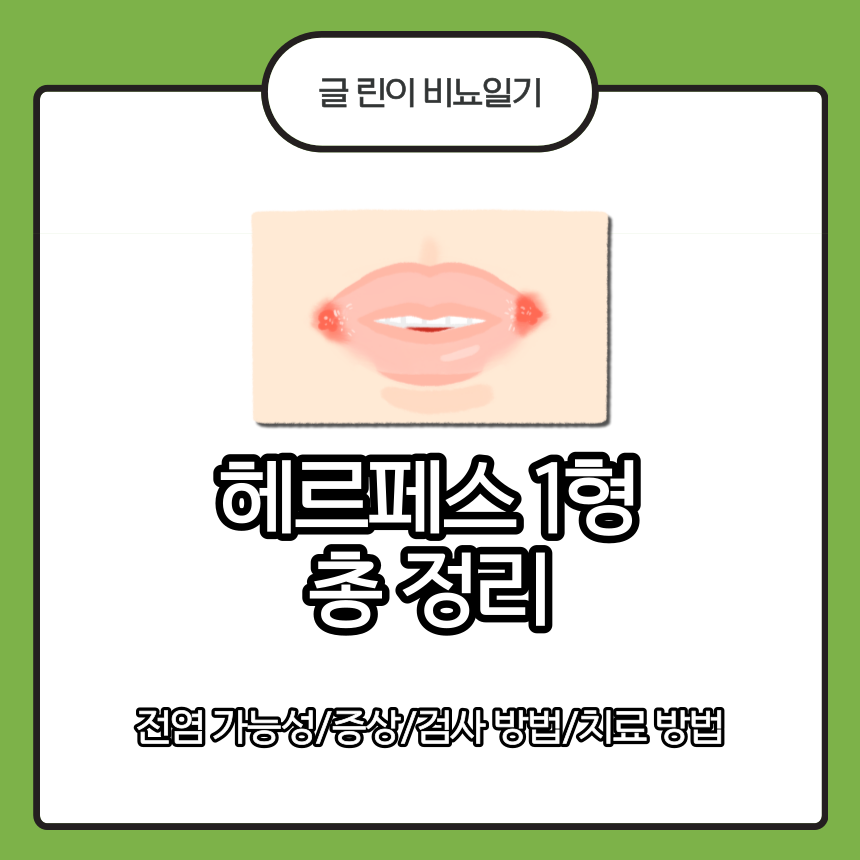  헤르페스 1형 총 정리