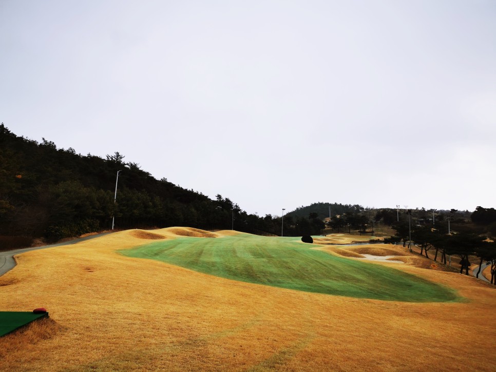 마제스티 1박2일 함평 엘리체CC 74