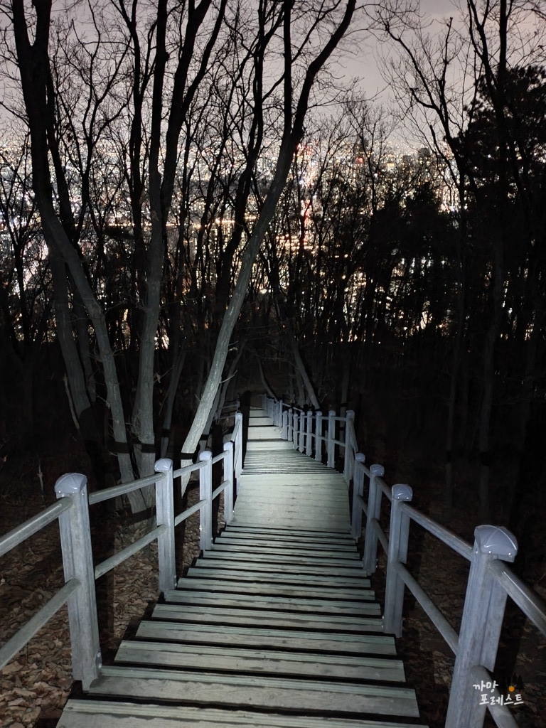 구룡산 하산