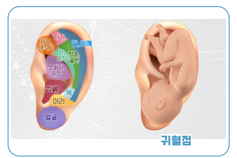 귀혈점 위치 일러스트