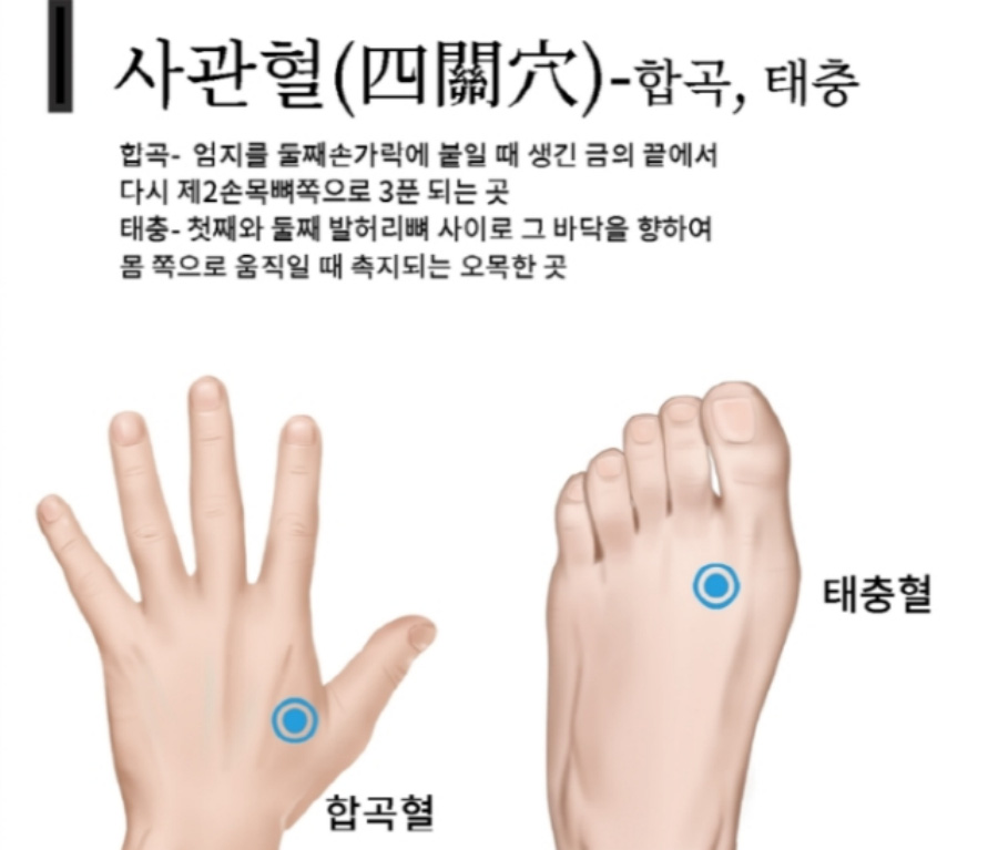 인체의 경혈 중에서 손의 합곡혈과 발의 태충혈의 위치를 정확한 설명과 표시를 해주는 이미지 사진