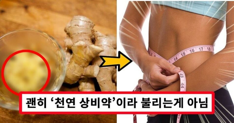  ' 이것 ' 먹으면 내장지방 사르르 녹는다!!