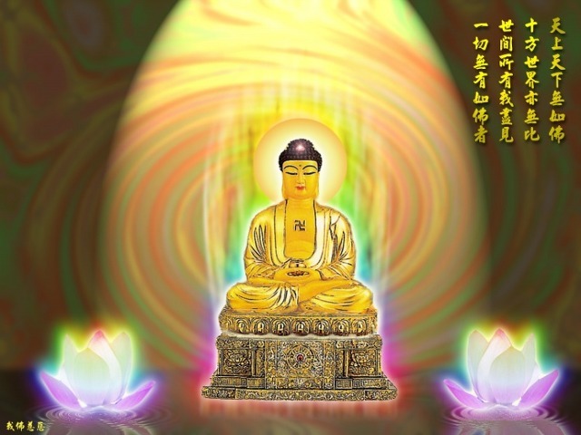 정토환경 이미지