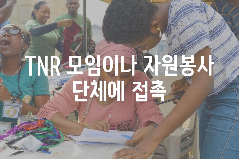TNR 모임이나 자원봉사 단체에 접촉