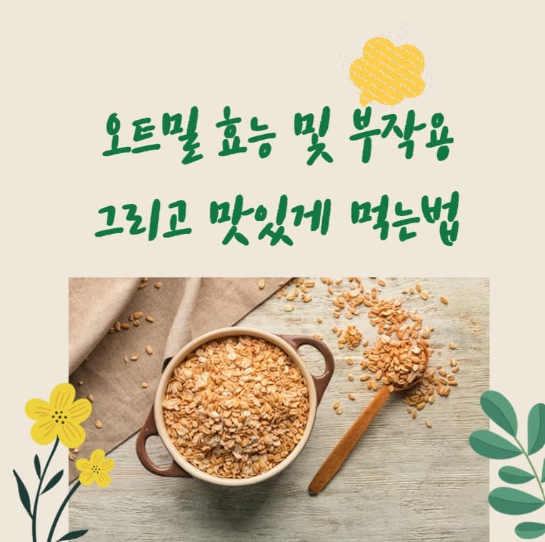 오트밀의 이점과 즐기는 방법